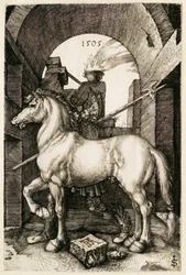 O pequeno cavalo