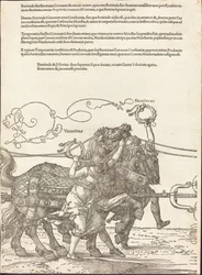 A Carruagem Triunfal de Maximiliano I (O Grande Carro Triunfal) [placa 5 de 8]