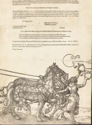 A Carruagem Triunfal de Maximiliano I O Grande Carro Triunfal [placa 8 de 8], 1523 Latin ed..