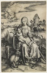 Virgem e Criança com o Macaco, c. 1498