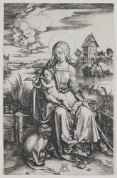 Madona com o macaco, c.1498 (gravura)