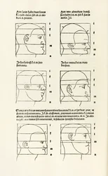 Proporções da cabeça humana de "Hierinn sind begriffen vier bücher von menschlicher Proporção" (Quatro livros de proporção humana)