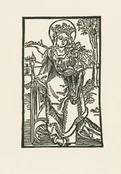 Santa Catarina