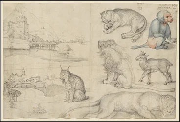 Esboços de animais e paisagens, 1521