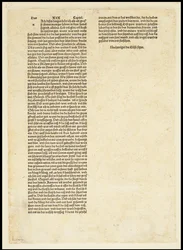 Verso do Apocalipse, São Miguel lutando contra o dragão, 1497