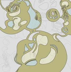 Formas Orgânicas Fluidas