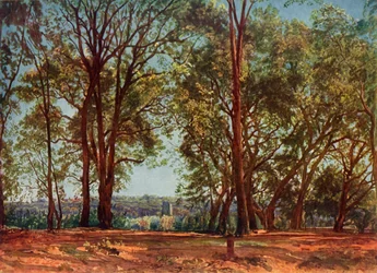 No Parque Aricci, década de 1830, 1965.