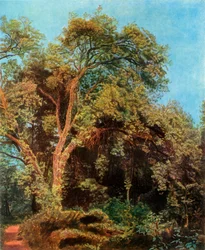 Árvore no parque, meados do século XIX, 1965.