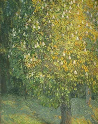 Castanheiro de florescência