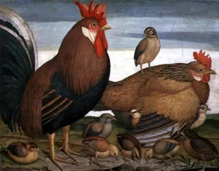 Galo, galinha e pintainhos