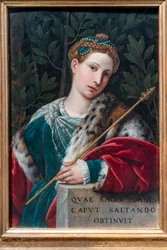 Retrato de uma mulher gentil como Salomé, c.1537 (óleo sobre painel)