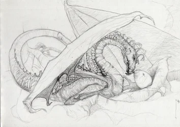 Criatura Fantástica: um dragão protegendo o seu ovo. Esboço a lápis por Alessandro Lonati