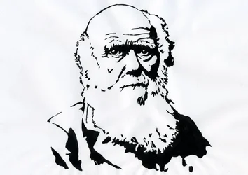 Retrato de Charles Darwin - Retrato do naturalista inglês Charles Darwin (1809-1882) Ilustração