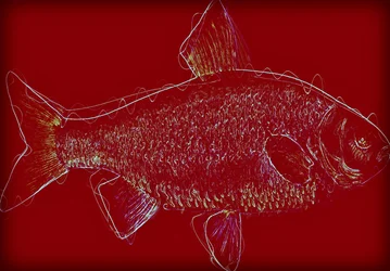 Fish V,2020 ,(mídia mista)