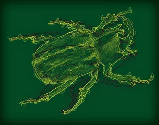 bug, 2020, (mídia mista)