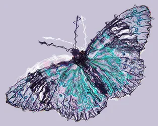 borboleta 7,2020, (mídia mista)
