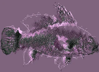 peixe III,2020, (mídia mista)