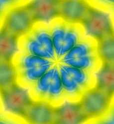 flores;62,2019,()gradiente)
