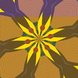 Lírio e sombra, 2019