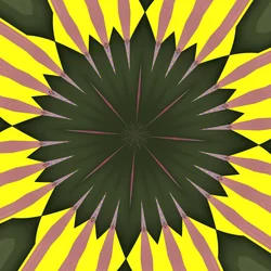sunflower,2019,(digital)