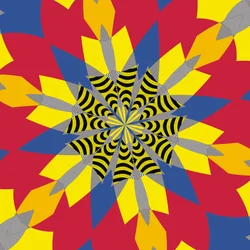 simetria #6,2019,(mixed media)