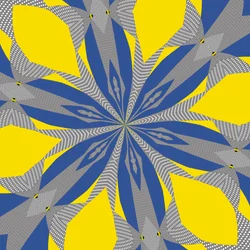 simetria #8,2019,(mixed media)