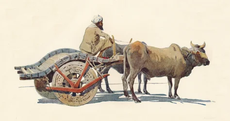 Um carro de boi, Jodhpur, c1880 1905.