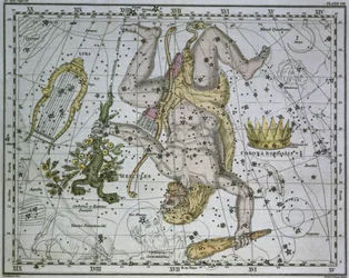 Hércules, de &39;A Celestial Atlas&39;, pub. em 1822