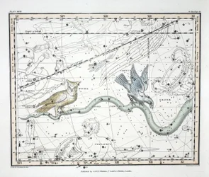As Constelações (Placa XXVII) Hydra Continua, Cratera, Covus, Centaurus e Lupus, de &39;A Celestial Atlas&39; de Alexander Jamieson, pub. Londres 1822 (gravura colorida à mão)