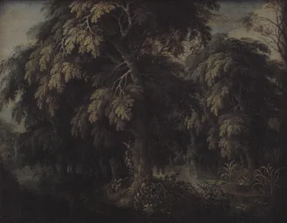 Paisagem arborizada