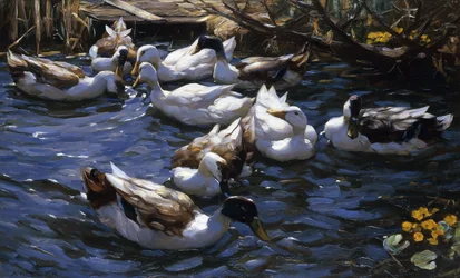Patos nos juncos sob os ramos