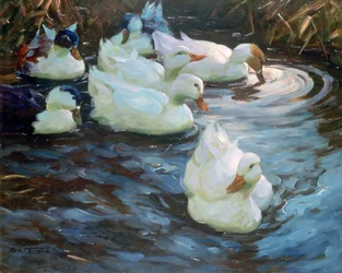 Patos em uma lagoa, c1884-1932