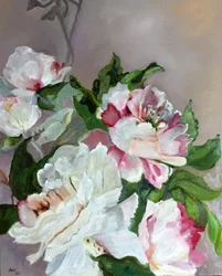 Peónias rosa e brancas