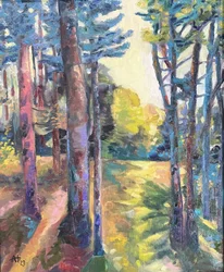 Caminho na floresta banhado pelo sol