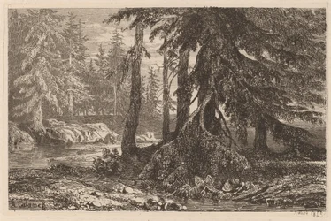 Ensaios de água-forte por Alexandre Calame, III, pl. 16