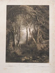 Paisagem