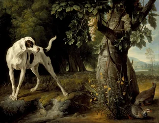 Paisagem com um cão e perdizes, 1719