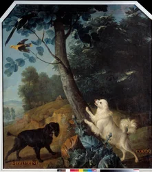Merluzine e Cocoq, os cães de Luís XIV (1638-1715). Pintura de François Desportes (1661-1743)