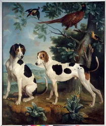 Pompee e Florissant, os cães de Luís XIV (1638-1715). Pintura de François Desportes (1661-1743)