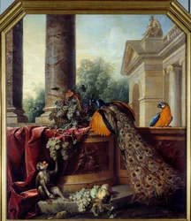 Natureza-morta com pavão, um papagaio, um macaco e cachos de uvas. Século XVIII. 2,05 x 1,8 m, Lyon, Musée des Beaux-Arts