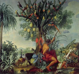 O caçador índio, 1740
