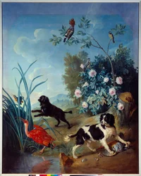 Zerbine e Jemite, os cães do rei Luís XIV, pintura de François Desportes (1661-1743), 1739, Compiègne, Musée national du château