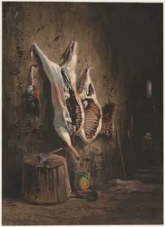 Carcaças