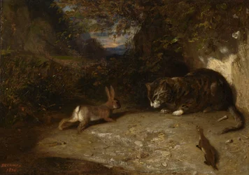 Gato, doninha e coelho, 1836