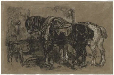 Dois cavalos de tiro