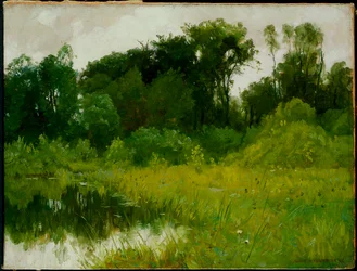 Depois da chuva, em Minnehaha Creek