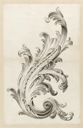 Desenho de folha de acanto