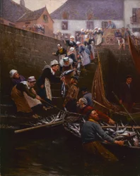 Atum desembarque em Concarneau
