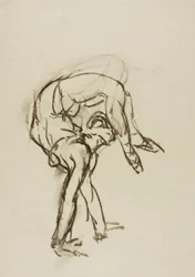 Contorcionista