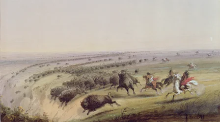 Caça ao búfalo, 1837